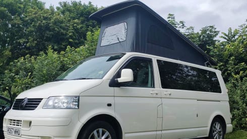 Rosie – VW T5 Extra-long - Free wine, milk & bread.