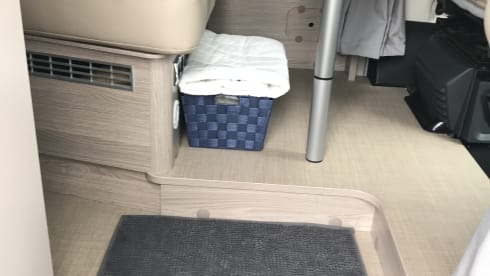 Stef – Magnificent discovery