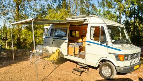 Roxanne – Mercedes Roxanne 207D