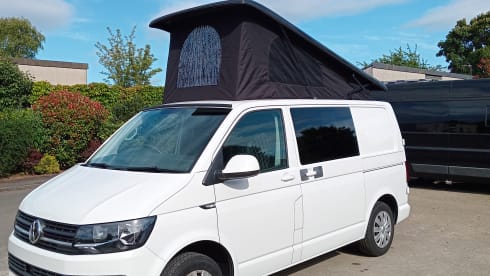 Wee Mags – Immaculate 4 berth 2017 VWT5 Camper
