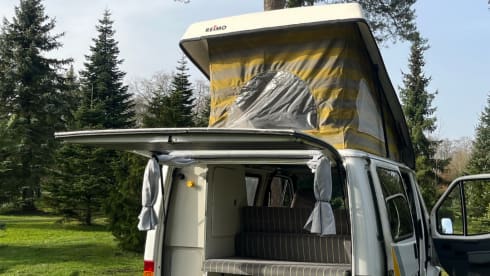 Harrison – 2p Marquis autres de 2019