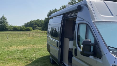 ARNOLD. – Bus 4p Pössl à partir de 2022