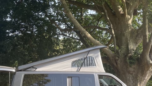 DAVE – Camping-car Volkswagen 4 places à partir de 2019