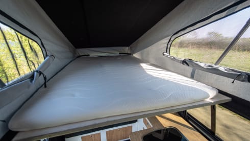 Joep – 4p Volkswagen campervan from 2013