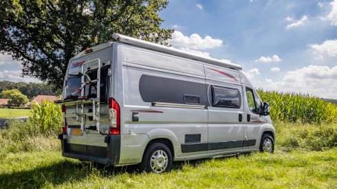 2p Fiat bus from 2017