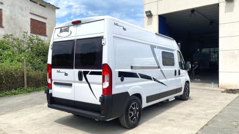 McLouis VAN Menfys 3 Prestige