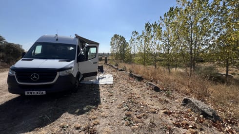 Connie2 – Just a lovely place to be.