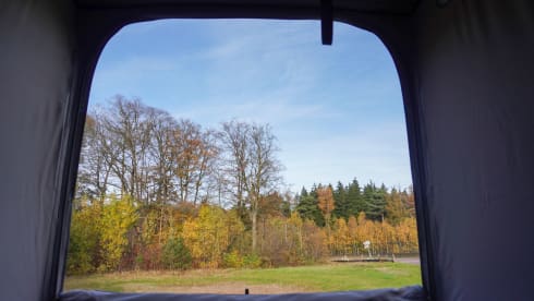 Fernando – 4p Volkswagen California campervan uit 2026