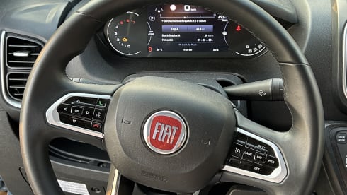 Rollerteam Livingstone Duo Xl