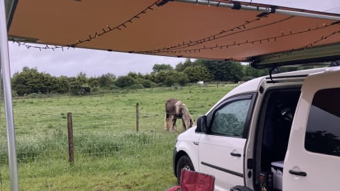 Caddy Camper – 2018 VW Caddy Microcamper