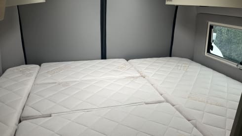 Womondo Siren – 3p Citroën bus from 2025