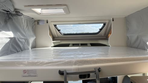 Carado T447 Edition 24