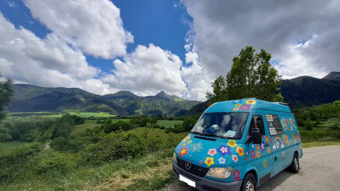 scua – Odysseus on Tour