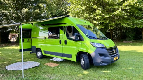 3p Fiat bus from 2019