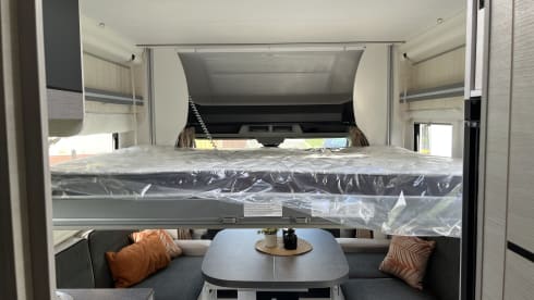 Matze – Beautiful Challenger from 2023 for rent.