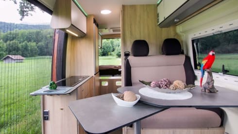 Igor – Tough Luxury Pössl/Clever campervan 2+1p Off-grid