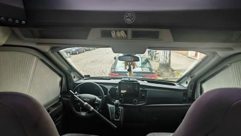 Berliner Box – La vie est trop courte pendant un certain temps ! Challenger 240