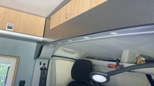 Little Red Devil  – 3p Peugeot bus uit 2020