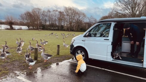 Nigel  – Midlands 2 Coast Campers, newly converted for all your camping needs! 