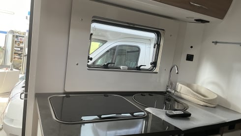 blucamp –  blucamp ocean 650