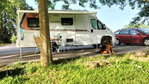 Pepper  – Handy practical economical