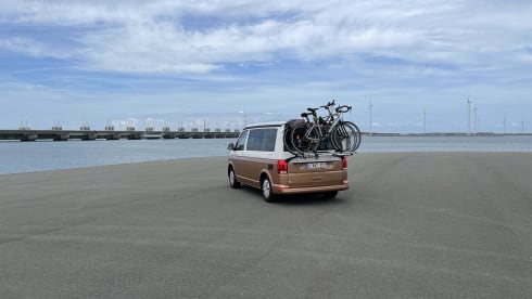 BATmobiel :) – VW California T6.1 with parking heater
