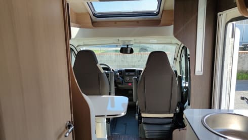 MC4 - 239 – MCLOUIS MC4 331