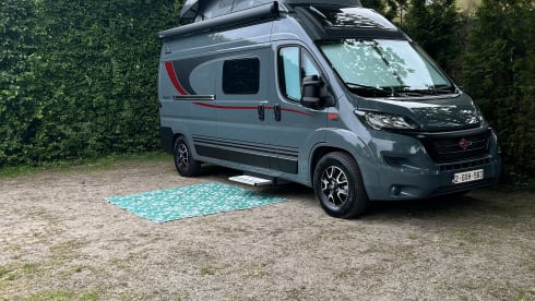 Bus Bürstner 4p à partir de 2025