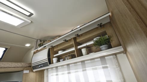 Coral – 6 Berth Roller Team From 2023