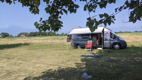 Weinsberg Bus camper of 6m for 2 people