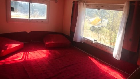 moa – camper BAVARIA tutte le opzioni in un ambiente verde