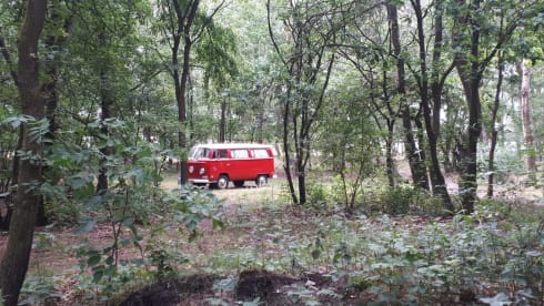 Rode Roos – Unique experience with Red Rose!