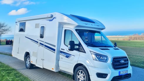 Roadie – Campignon Rimor Evo 66 Plus 2022