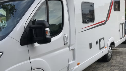 Stef – Magnificent discovery