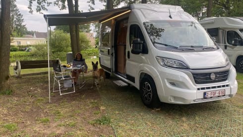 Bedsie – Recent (2024) nicely equipped Weinsberg Carabus 600 from 2024 