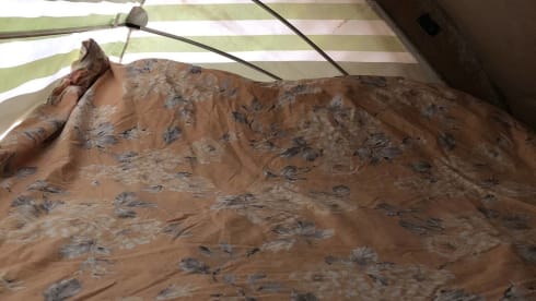 Roses – Vintage Devon 4 berth Volkswagen Camper 1981 - Relaxing Camping Classic 