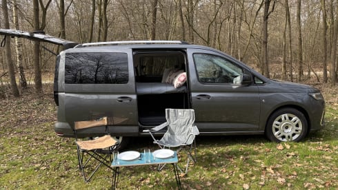 Zermatt – Ford Tourneo