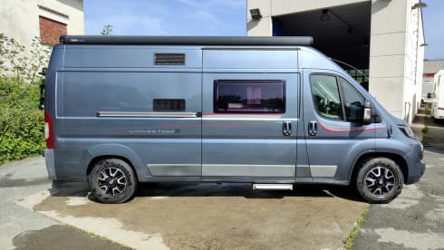 Living Stone 2 – LAIKA Ecovip 300