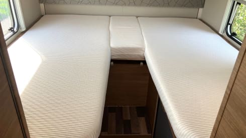 Holly – 2p Other semi-integrated from 2020