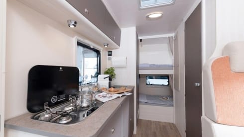 Ahörnchen – Maple Eco683 