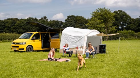 Fred – Fred VW T5