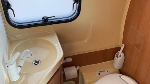 Dame Fortuna – Compact Ford camper van