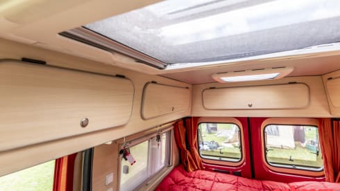Safari kampeerbus – Red Sien, to fall in love with
