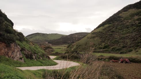 Miss Moneypenny (Burgau, Lagos, Algarve, Portugal)
