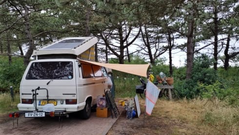 Olle – Tough T3 with powerful diesel engine