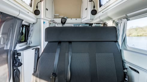 klein maar dapper  – 2 Ford bus nugget from 2019