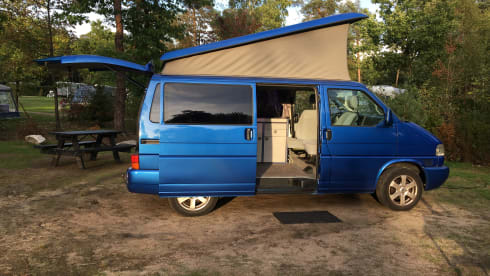 The Blue Diamond – Volkswagen T4 | BlueDiamond | Powerhouse 2.5TDI - 115HP 2 to 4 people