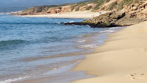 Laika Ecovip 3L in perfette condizioni.