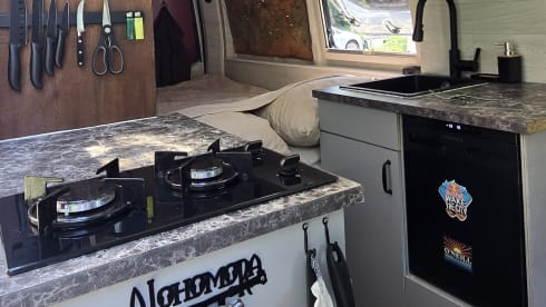Ollie – Ruime Renault Bus uit 2018 (E6)