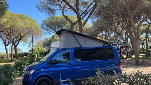 Fergus – Fergus the Campervan